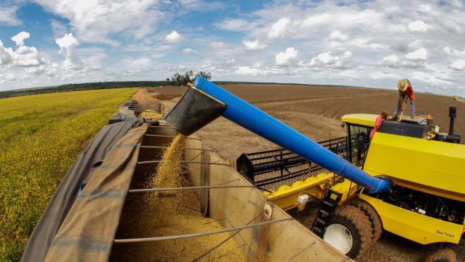 Operação Mata Atlântica: um tema de interesse do agronegócio